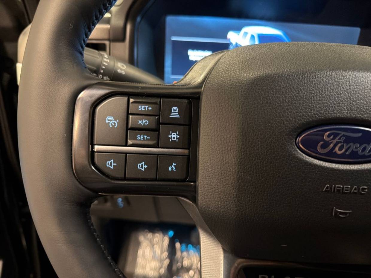 2025 Ford F-150 Platinum - Photo 10