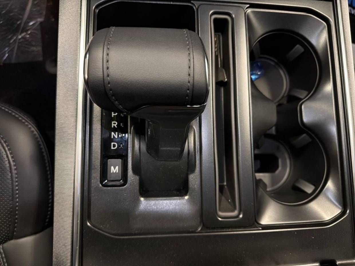 2025 Ford F-150 Platinum - Photo 16