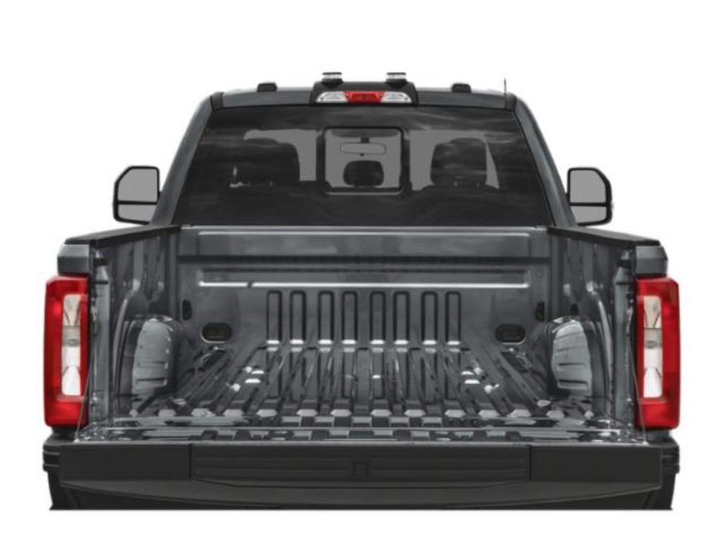Showcase Image
