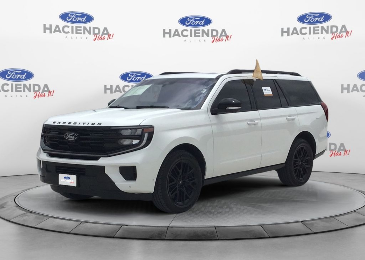 2025 Ford Expedition Platinum 4x4's photo