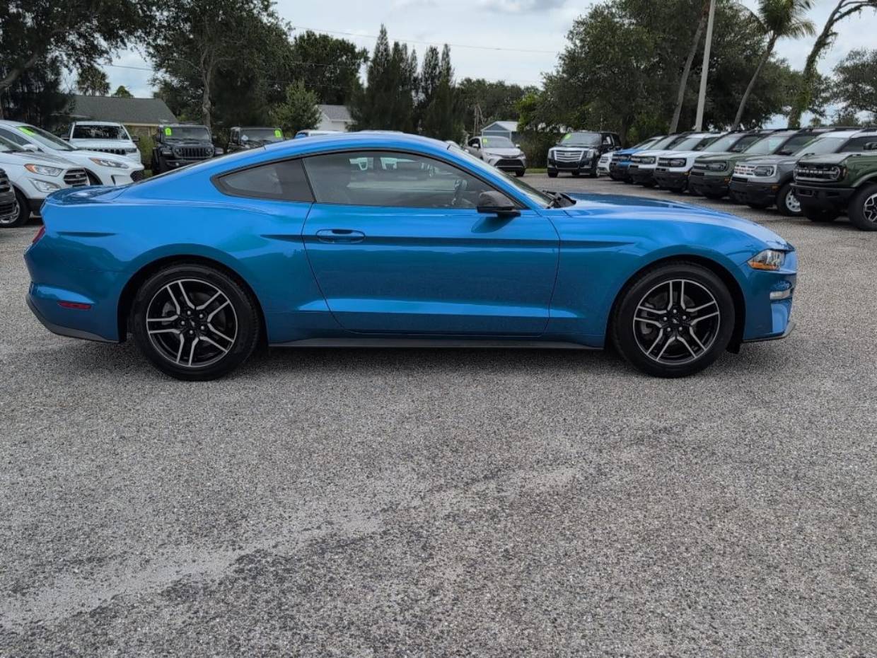 Certified 2019 Ford Mustang EcoBoost with VIN 1FA6P8TH8K5180393 for sale in Englewood, FL