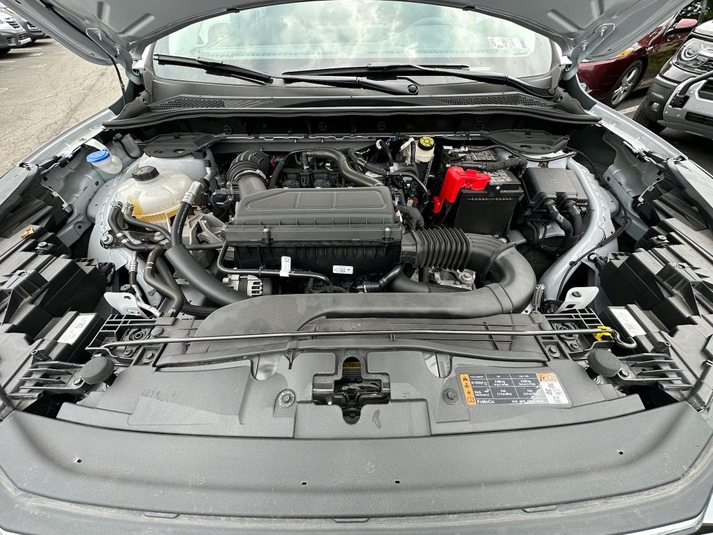 Showcase Image