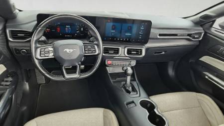 Showcase Image