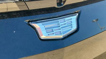 Showcase Image