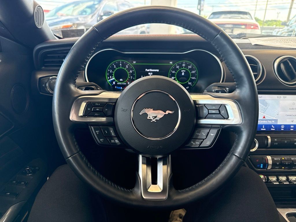 Showcase Image