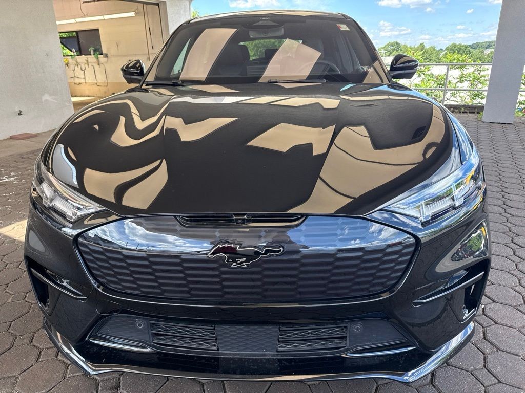 Showcase Image