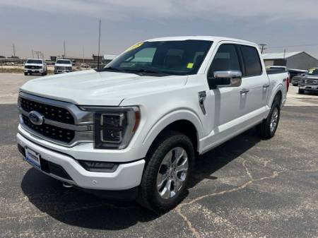 2022 Ford F-150 Platinum