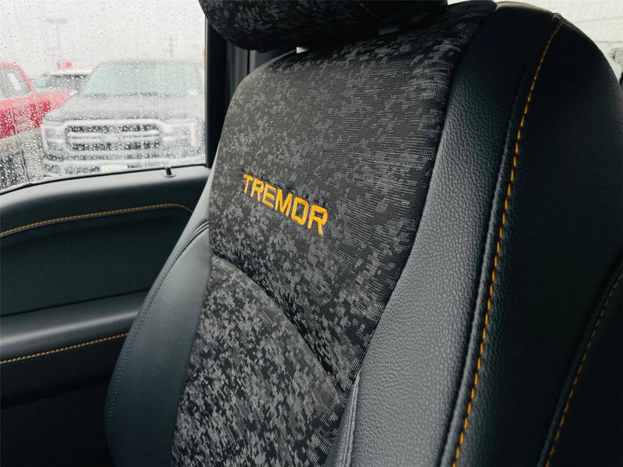 2025 Ford F-150 Tremor - Photo 19
