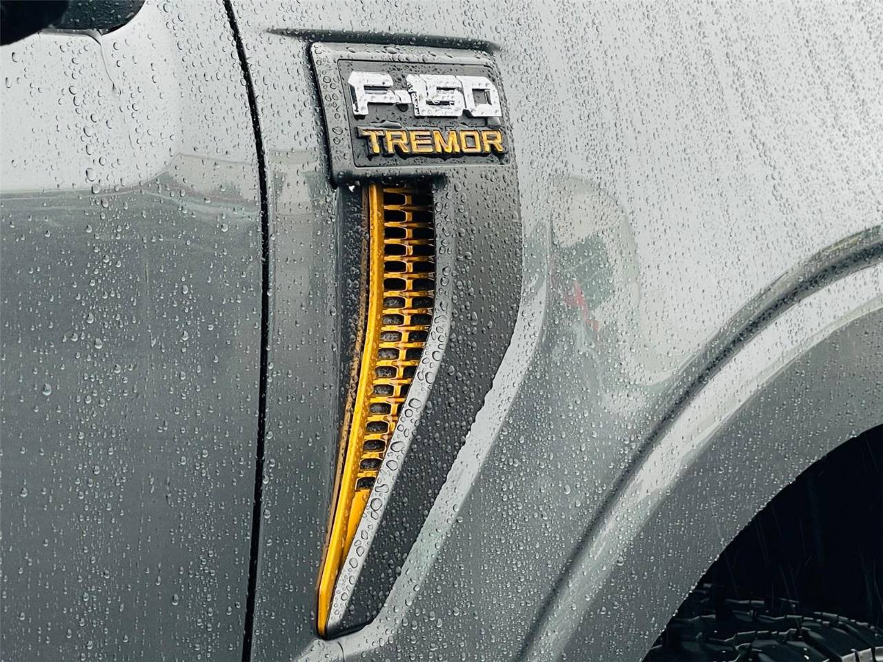 2025 Ford F-150 Tremor - Photo 20