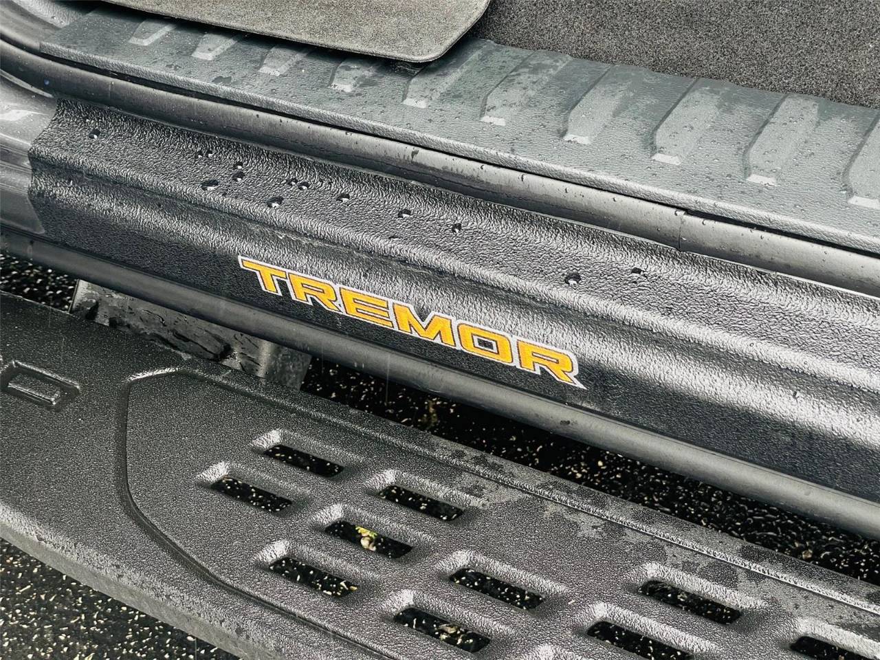 2025 Ford F-150 Tremor - Photo 21