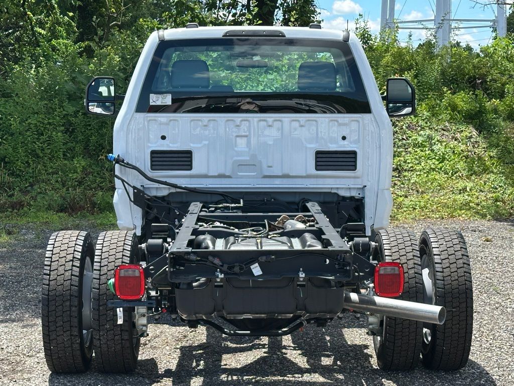 Showcase Image
