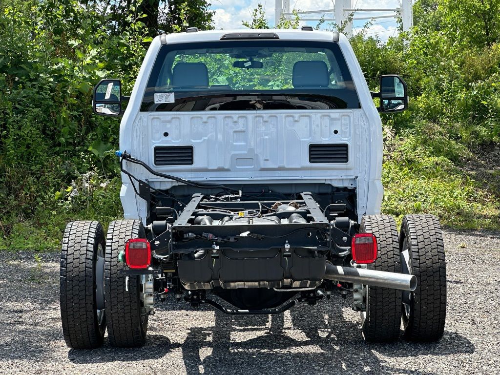 Showcase Image