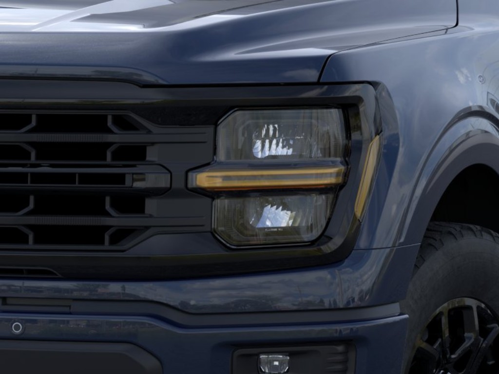 Showcase Image