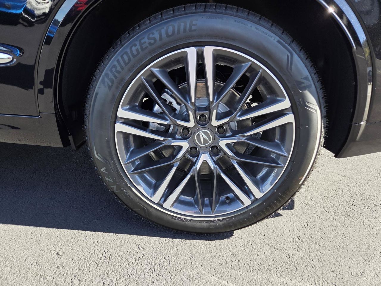 Showcase Image