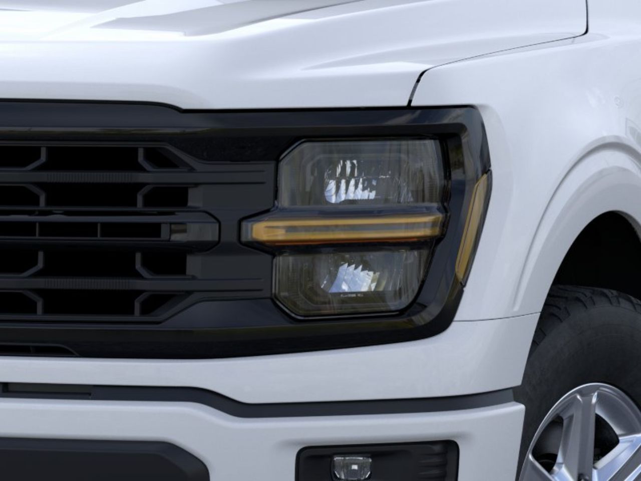 Showcase Image