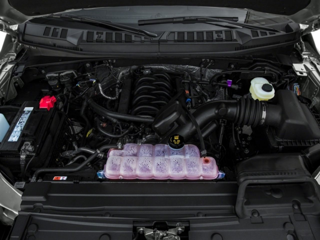 Showcase Image