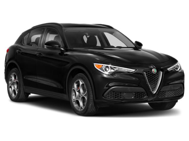 2018 Alfa Romeo Stelvio Base photo 6