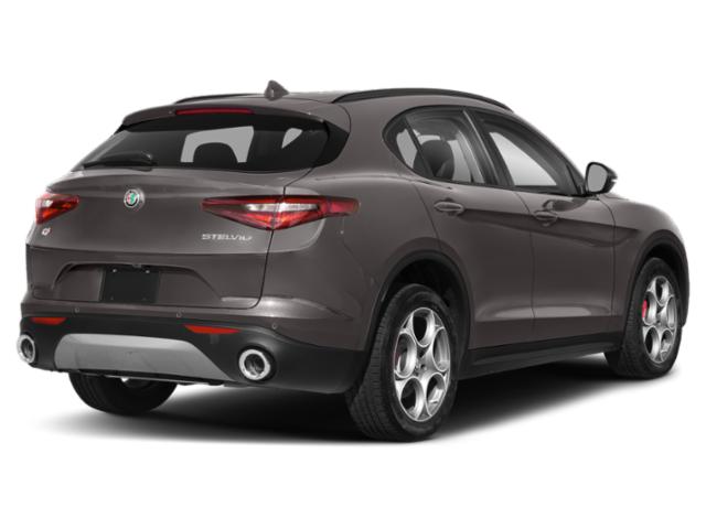 2018 Alfa Romeo Stelvio Base photo 2