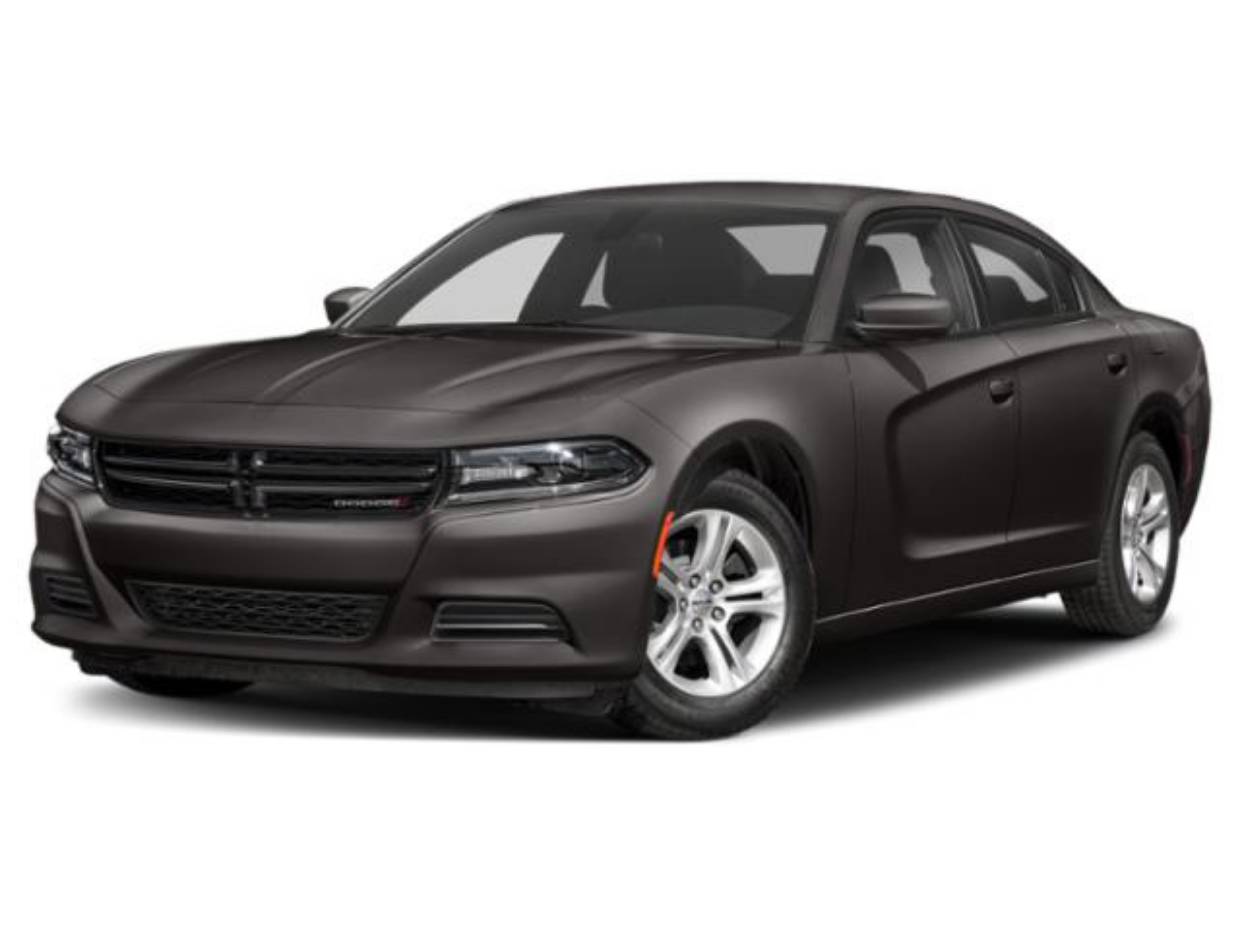 2019 Dodge Charger SXT's photo