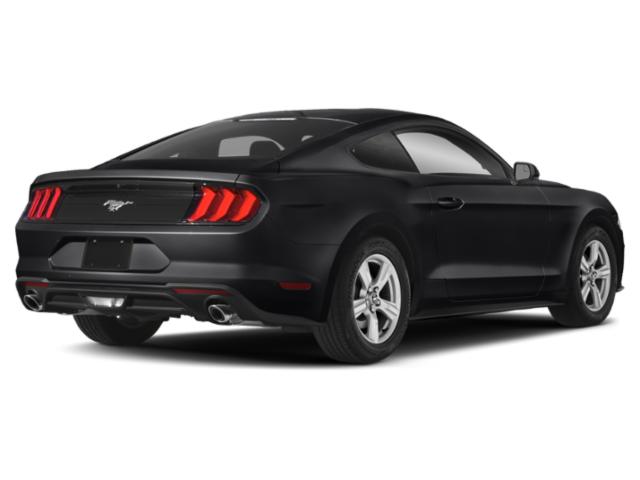 Used 2019 Ford Mustang EcoBoost with VIN 1FA6P8TH4K5185865 for sale in Waconia, Minnesota